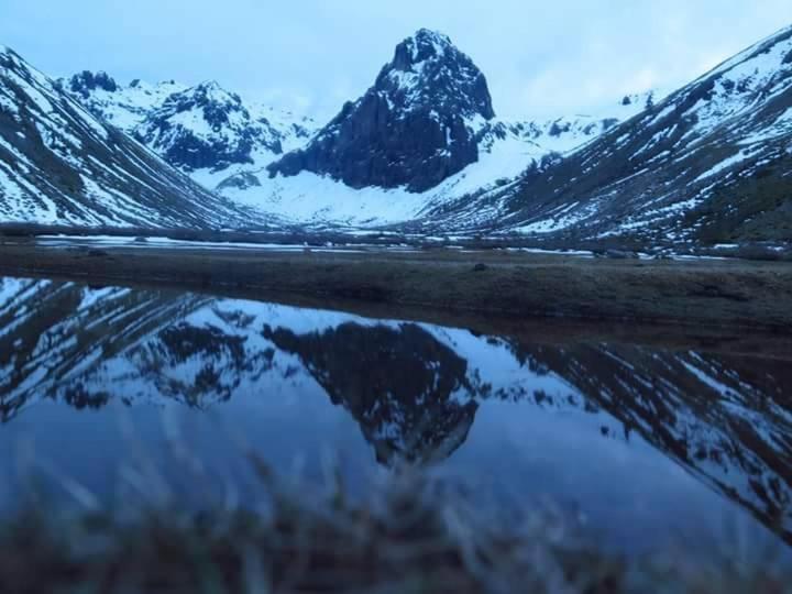 Cabanas El Toro - Radal Siete Tazas Molina  Exteriér fotografie