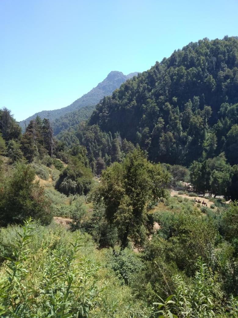 Cabanas El Toro - Radal Siete Tazas Molina  Exteriér fotografie